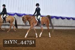 21YN_44751 thumbnail