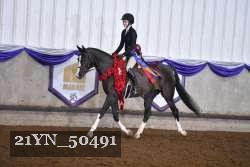 21YN_50491 thumbnail