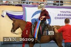 21YN_26209 thumbnail
