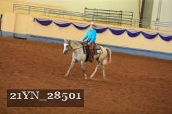 21YN_28501 thumbnail
