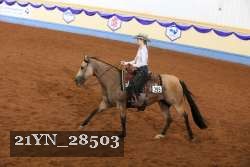 21YN_28503 thumbnail