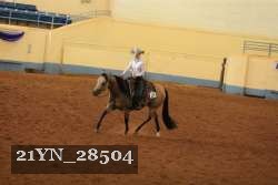 21YN_28504 thumbnail