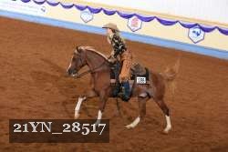 21YN_28517 thumbnail