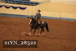 21YN_28522 thumbnail