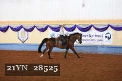 21YN_28525 thumbnail