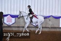 21YN_73808 thumbnail