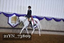 21YN_73809 thumbnail