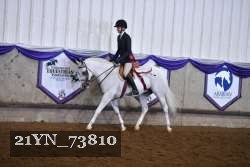 21YN_73810 thumbnail