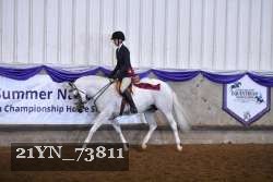 21YN_73811 thumbnail