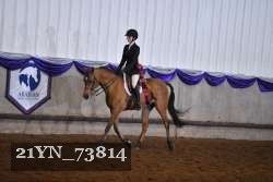 21YN_73814 thumbnail