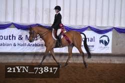 21YN_73817 thumbnail