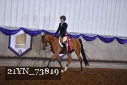 21YN_73819 thumbnail