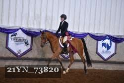 21YN_73820 thumbnail