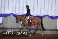 21YN_73823 thumbnail