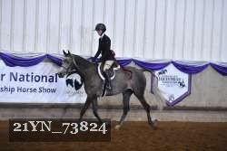 21YN_73824 thumbnail
