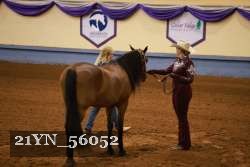 21YN_56052 thumbnail
