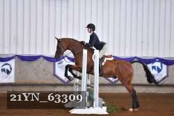 21YN_63309 thumbnail