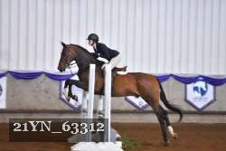 21YN_63312 thumbnail