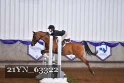 21YN_63322 thumbnail