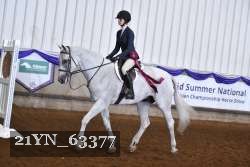 21YN_63377 thumbnail
