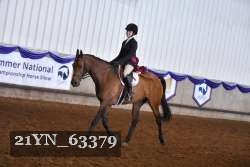 21YN_63379 thumbnail