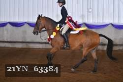 21YN_63384 thumbnail
