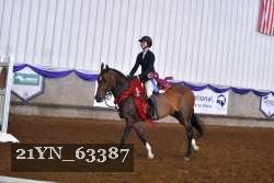21YN_63387 thumbnail