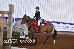 21YN_63388 thumbnail