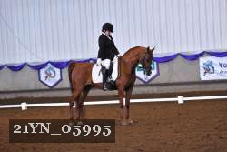 21YN_05995 thumbnail