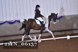 21YN_06137 thumbnail