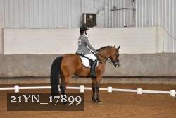 21YN_17899 thumbnail