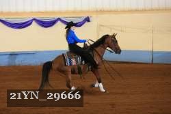21YN_29666 thumbnail