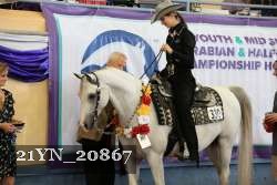 21YN_20867 thumbnail