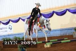 21YN_20876 thumbnail