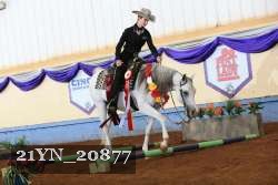 21YN_20877 thumbnail