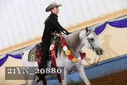 21YN_20880 thumbnail