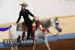21YN_20881 thumbnail