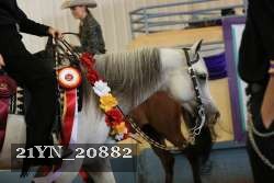 21YN_20882 thumbnail