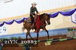 21YN_20883 thumbnail