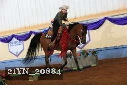 21YN_20884 thumbnail