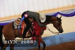 21YN_20887 thumbnail