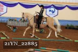21YN_22885 thumbnail