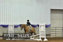 21YN_54129 thumbnail