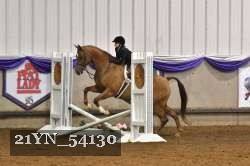 21YN_54130 thumbnail