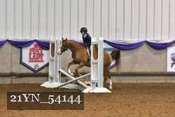 21YN_54144 thumbnail