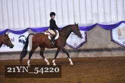21YN_54220 thumbnail