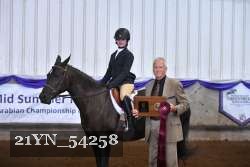 21YN_54258 thumbnail
