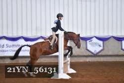 21YN_56131 thumbnail