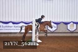 21YN_56211 thumbnail