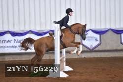 21YN_56229 thumbnail